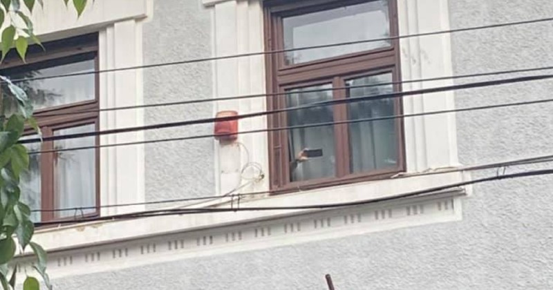 telefon ambasada belarusului