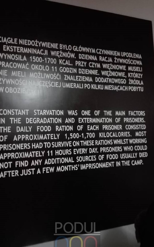auschwitz 6.jpg