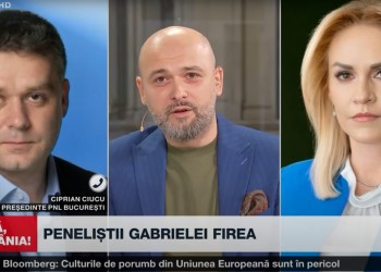 VIDEO Ciucu "a scăpat porumbelul" în emisiunea "Bună, România!", spunând că NU exclude ca în 2024 să o susțină pe Firea pentru funcția de primar al Capitalei, întrucât, ca edil al S6, are nevoie de "intrare" la miniștrii PSD: "Fiecare are prietenii, fiecare are relații de colegialitate, fiecare are sentimente. Mi-aș antagoniza jumătate din Guvernul PSD!". Replica jurnalistului Răzvan Zamfir: "Mergeți la DNA!"