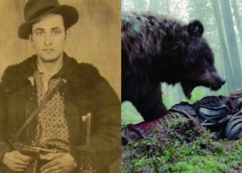 EXCLUSIV: ”The revenant” de România. Atacat de o ditamai ursoaica furioasă, partizanul Nicolae Ciurică reușește să o răpună, după o luptă pe viață și pe moarte. ”Plânge ursul, domnule…”