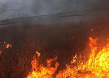FOTO Cineva a încercat să INCENDIEZE zona retrocedată din Parcul IOR! Posibilele SEMNALMENTE ale piromanilor